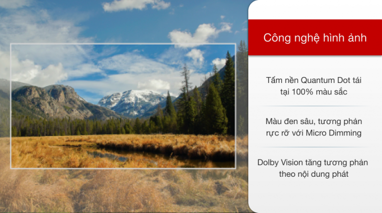 qled-4k-tcl-50q726637679872020689719_51806ba5561b40c1999a6a06577de854.png