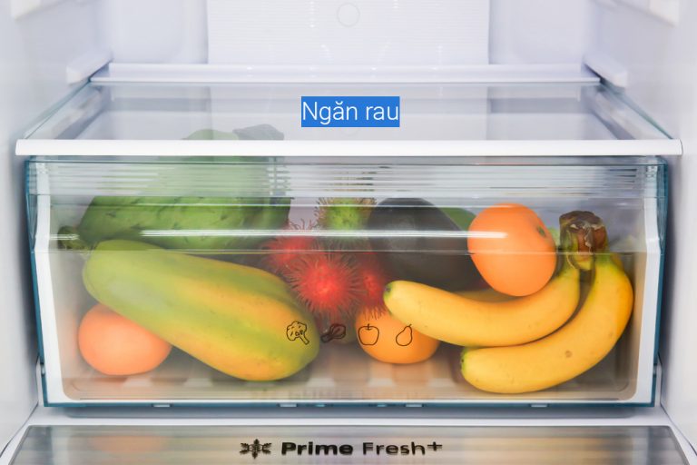 tu-lanh-panasonic-nr-bv280qsvn-8_1b2e3f5acf754cc381bba8ad8c2b9faa.jpg