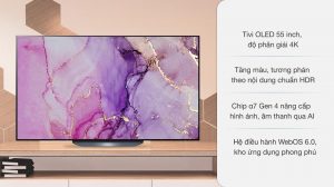 vi-vn-smart-oled-lg-4k-55-inch-55b1pta-1_865a2409ecc3401ba96026b1326ef293.jpg
