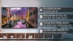 vi-vn-smart-oled-lg-4k-55-inch-55g2psa-1_44cc6e72043347e584daaf252a49178b.jpg