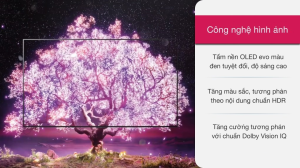smart-oled-lg-4k-55-inch-55g1pta-270721-0150040.png