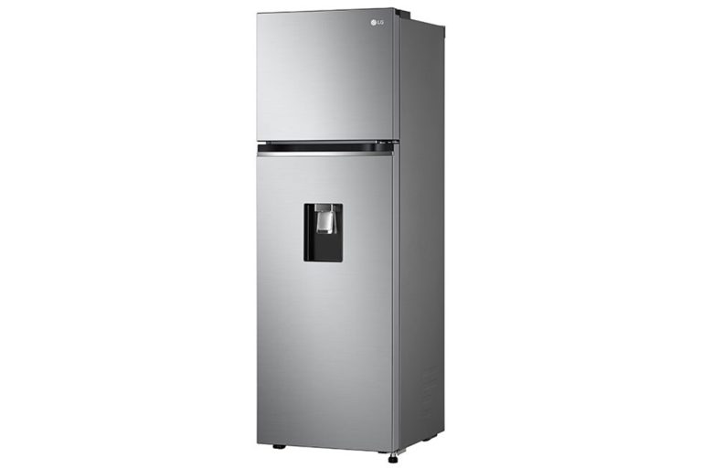tu-lanh-lg-inverter-264-lit-gv-d262ps-4.jpg