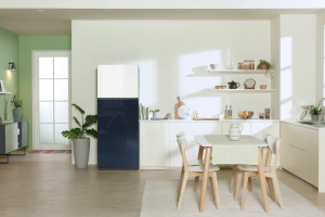 tu-lanh-samsung-inverter-305-lit-rt31cb56248asv-1.png