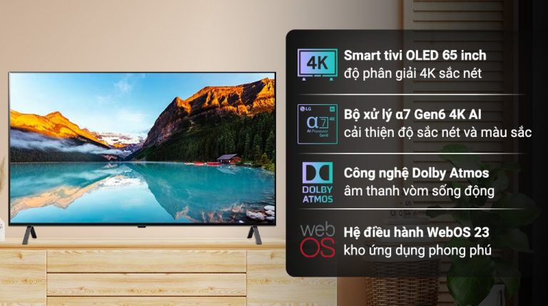vi-vn-smart-tivi-oled-lg-4k-65-inch-65a3psa-01.jpg