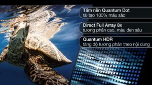 smart-qled-4k-55-inch-samsung-qa55q80b637895928733534296_5678cb77745b47a795e36ae1747a5355.jpg
