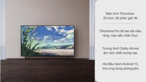 vi-vn-led-sony-kd-55x85j_d7cdcd1db5e44fcc8ad45b8a92d34334.jpg