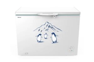 t__d_ng_hisense_inverter_300_l_t_fc380d4ewc1_01d04b91011d4674914b9aeb2725e741.jpg